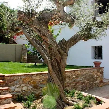 Sleeps 10 Pool Wifi Villa *